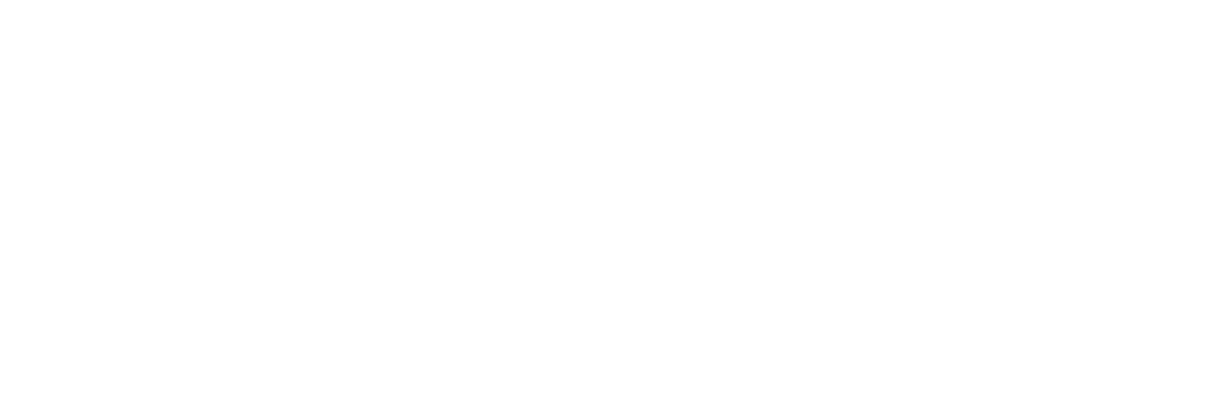 Elv8tion